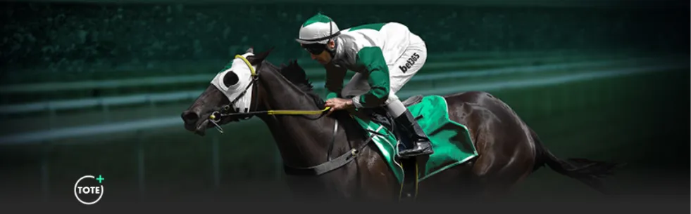 三亚排球盛,宴藏韵飘香,哈达赠礼展,NG体育官网,NG,SPORTS,NG体育中国官网,NG,Sports体育平台,NG体育服务