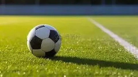 中国篮球名人堂热议：专家盼体育名人堂百家争鸣