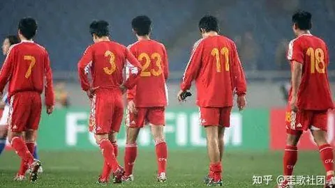 翁泓阳2-0战胜小波波夫，夺得2025年瑞士公开赛男单金牌