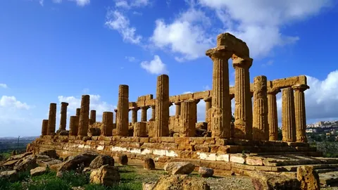 阿联酋板球狂欢：死敌对决，观众规模超500万