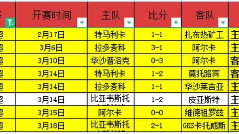 切尔西未来重点培养对象锁定恩佐与马雷斯卡